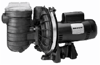 Max-E-Glas series pool and spa pump