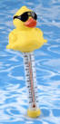 Floating Pool and Spa Thermometer