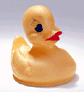 Floating Duck